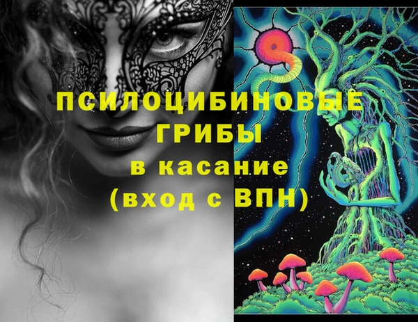 прущий лед Алексин