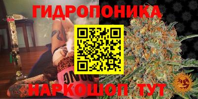 каннабис Аргун