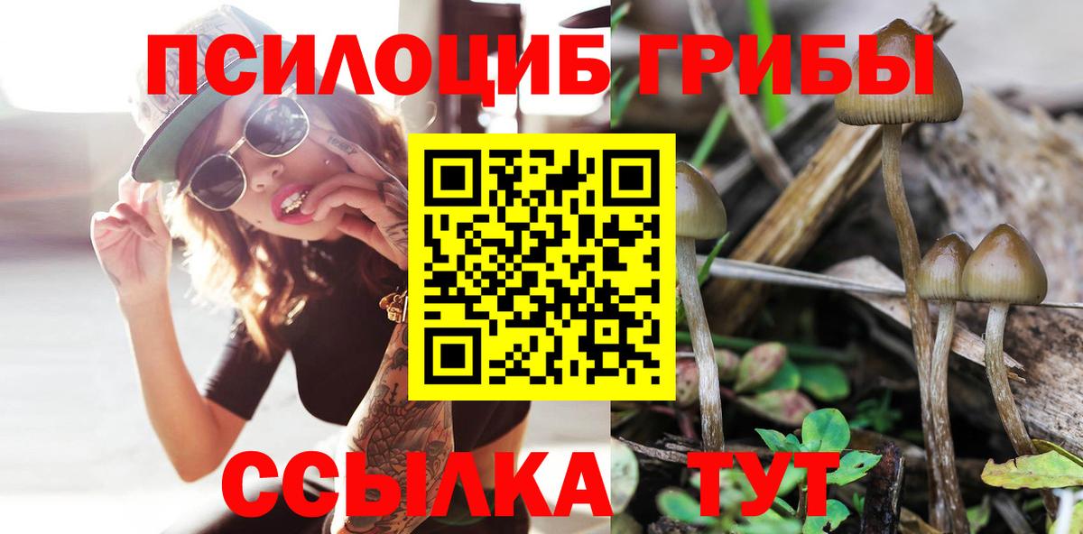 Галлюциногенные грибы мицелий  Вход с VPN  Псилоцибиновые грибы прущие грибы  Апрелевка 