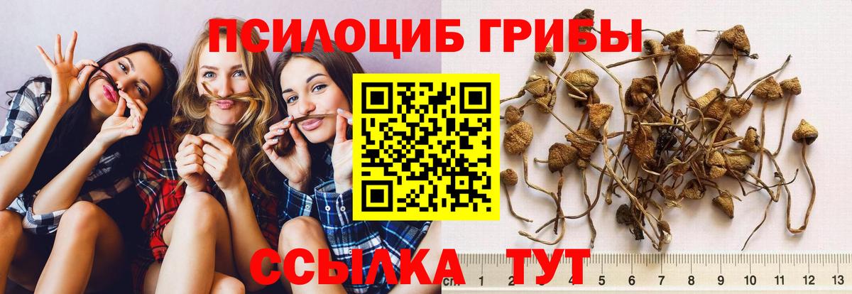 Псилоцибиновые грибы MAGIC MUSHROOMS  цены   Апрелевка  Псилоцибиновые грибы прущие грибы  Вход с VPN 