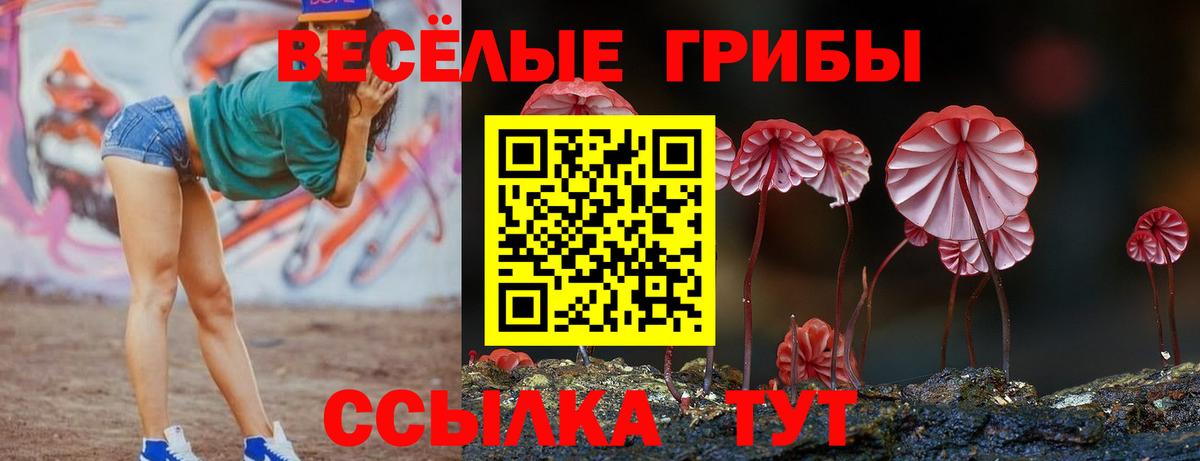 Псилоцибиновые грибы ЛСД Апрелевка